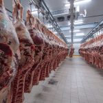 Lawmakers work to address Wyoming’s lack of meatpacking plants